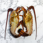 Lobster - Whole Eastern Lobsters | $125/kg