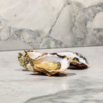 Oysters - Sydney Rock Oysters | $30/dozen