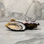 Oysters - Tasmania Royal Miyagi Pacific Oysters | $35/dozen